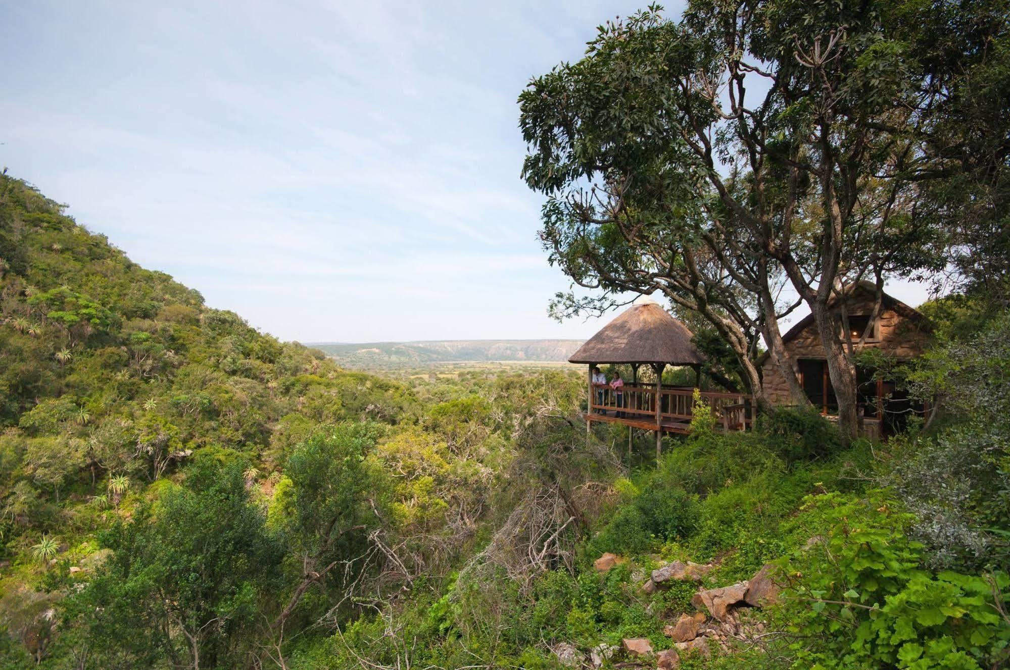 Woodbury Lodge - Amakhala Game Reserve ภายนอก รูปภาพ