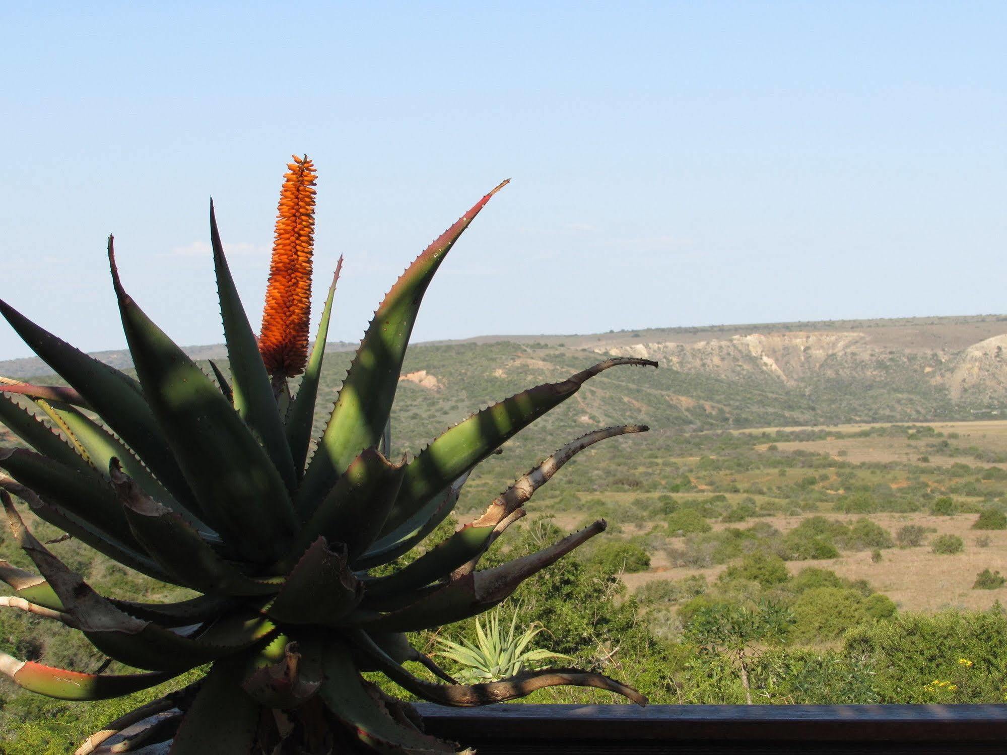 Woodbury Lodge - Amakhala Game Reserve ภายนอก รูปภาพ